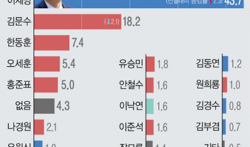 차기 대선 '국힘 후보' 41.2% '민주 후보' 47.9%…이재명 43.7% 김문수 18.2%[에이스리서치]
